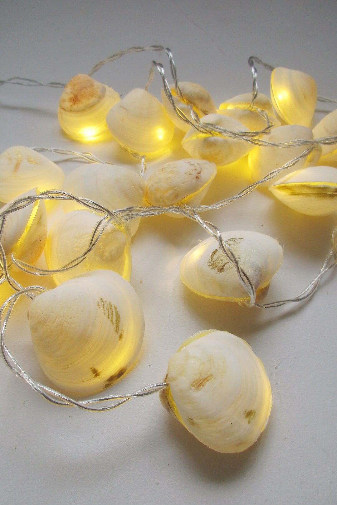 Coastal Decor Seashell String Lights