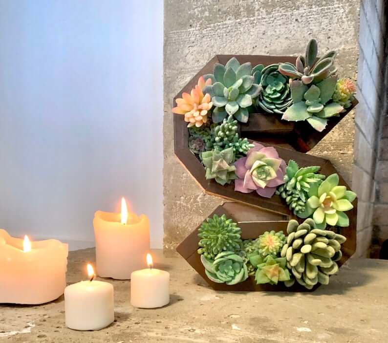 Wooden Letter Full of Hearty Succulents