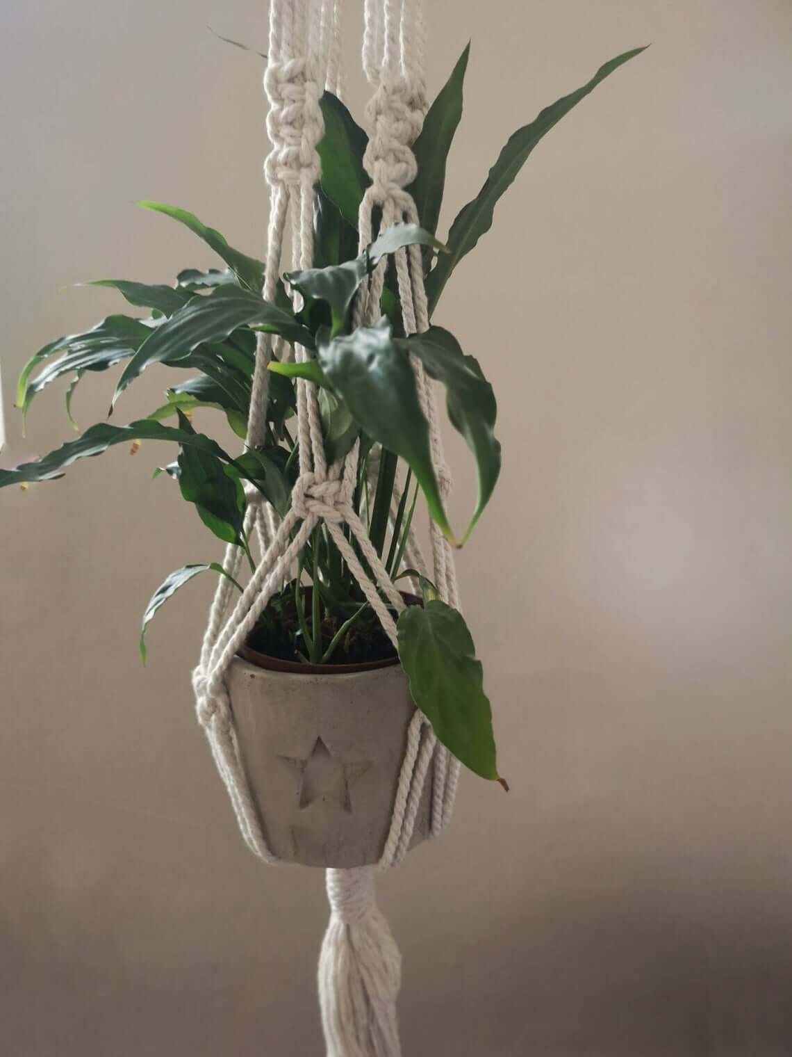 Star Cutout Cement Planter with Macrame Hanger