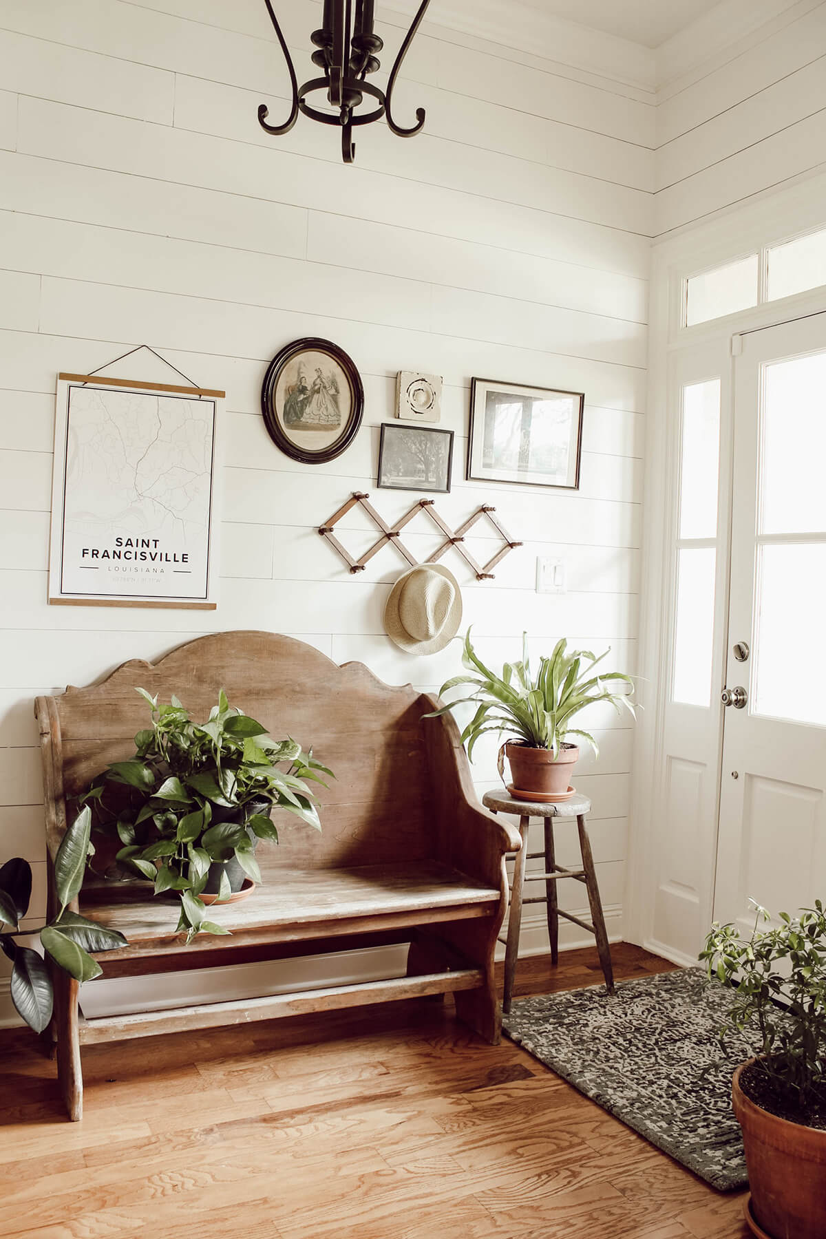 Light and Airy with Plants and Wood