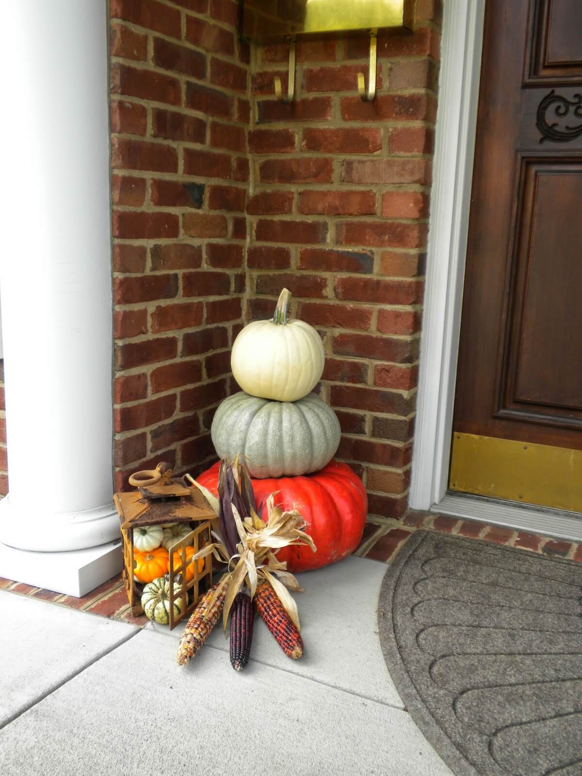 Flint Corn and Miniature Pumpkins