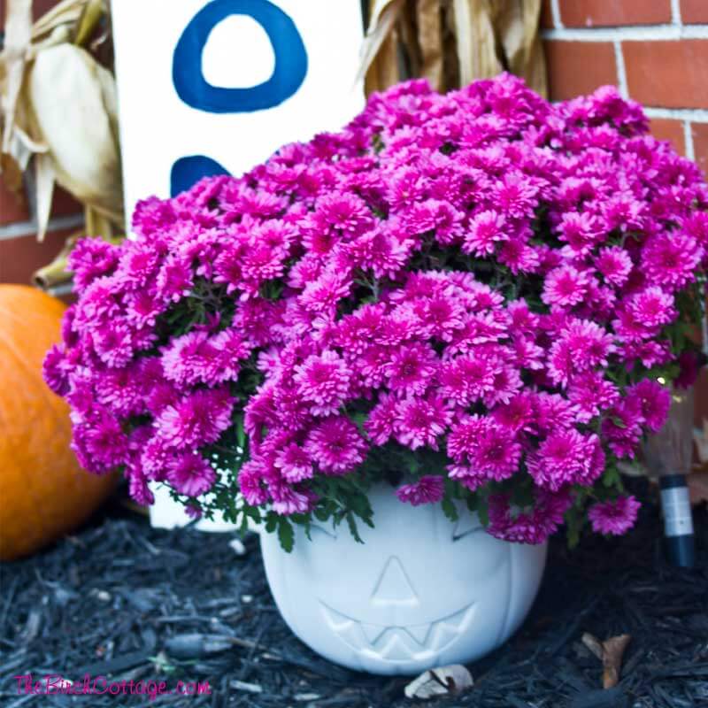 White Jack-o-lantern Resin Planter