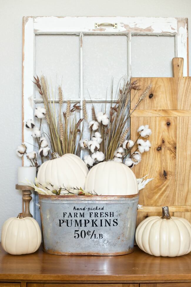 Hand-picked Pumpkins and Cotton Farmhouse Decor