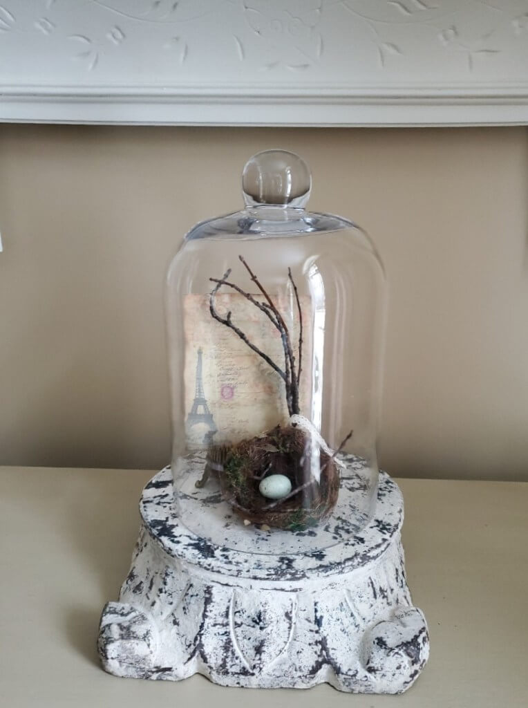 Decorative Vintage Base Bird Nest Glass Cloche