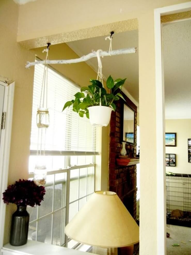 Painted Branch Plant Hanging Display