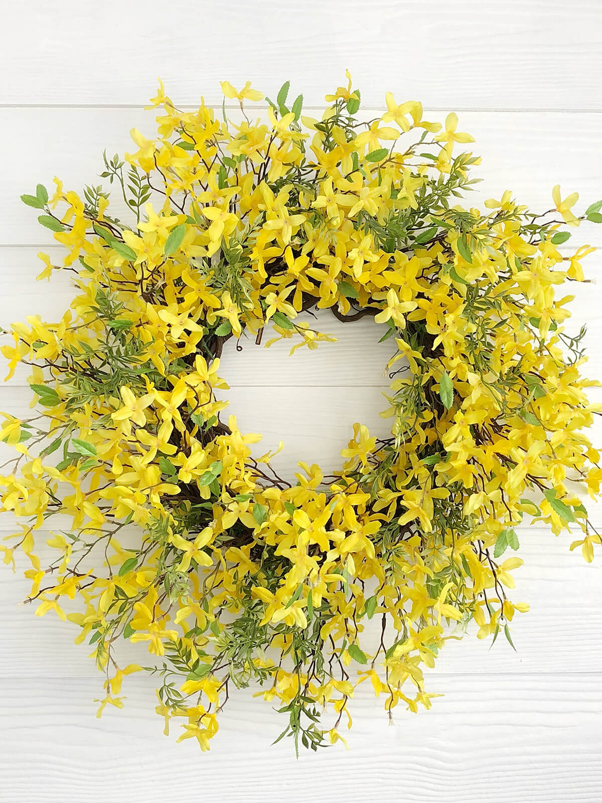 Golden Wildflowers Ready for Spring