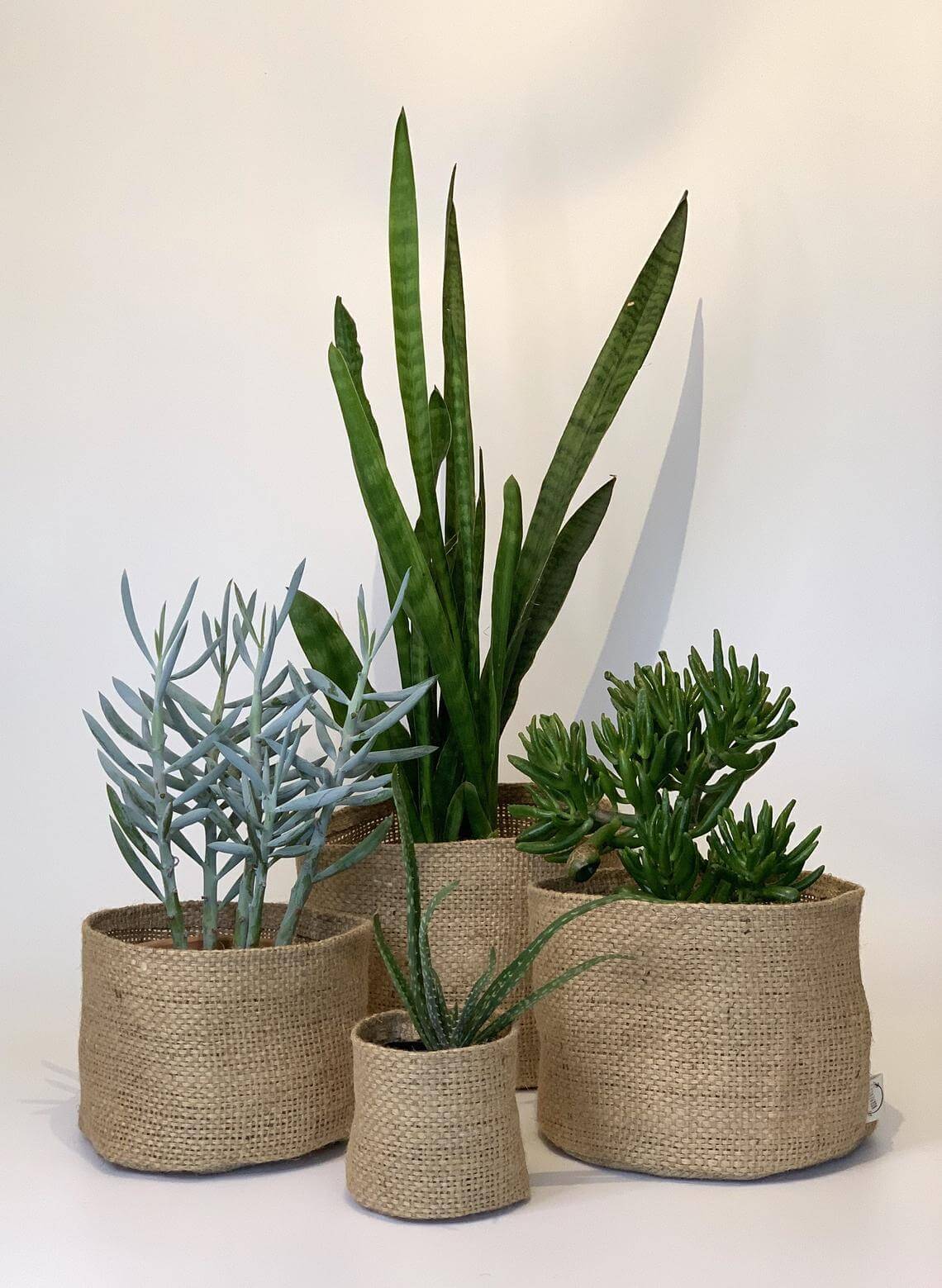 Repurposed Coffee Sacks Plant Covers