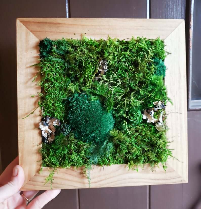 Juicy Wall Hanging Moss Art