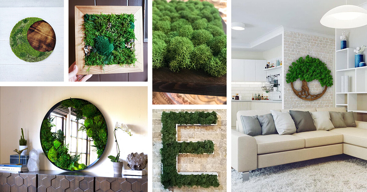 Featured image for “29 Irresistibly Amazing Moss Wall Art Ideas for Your Living Space”