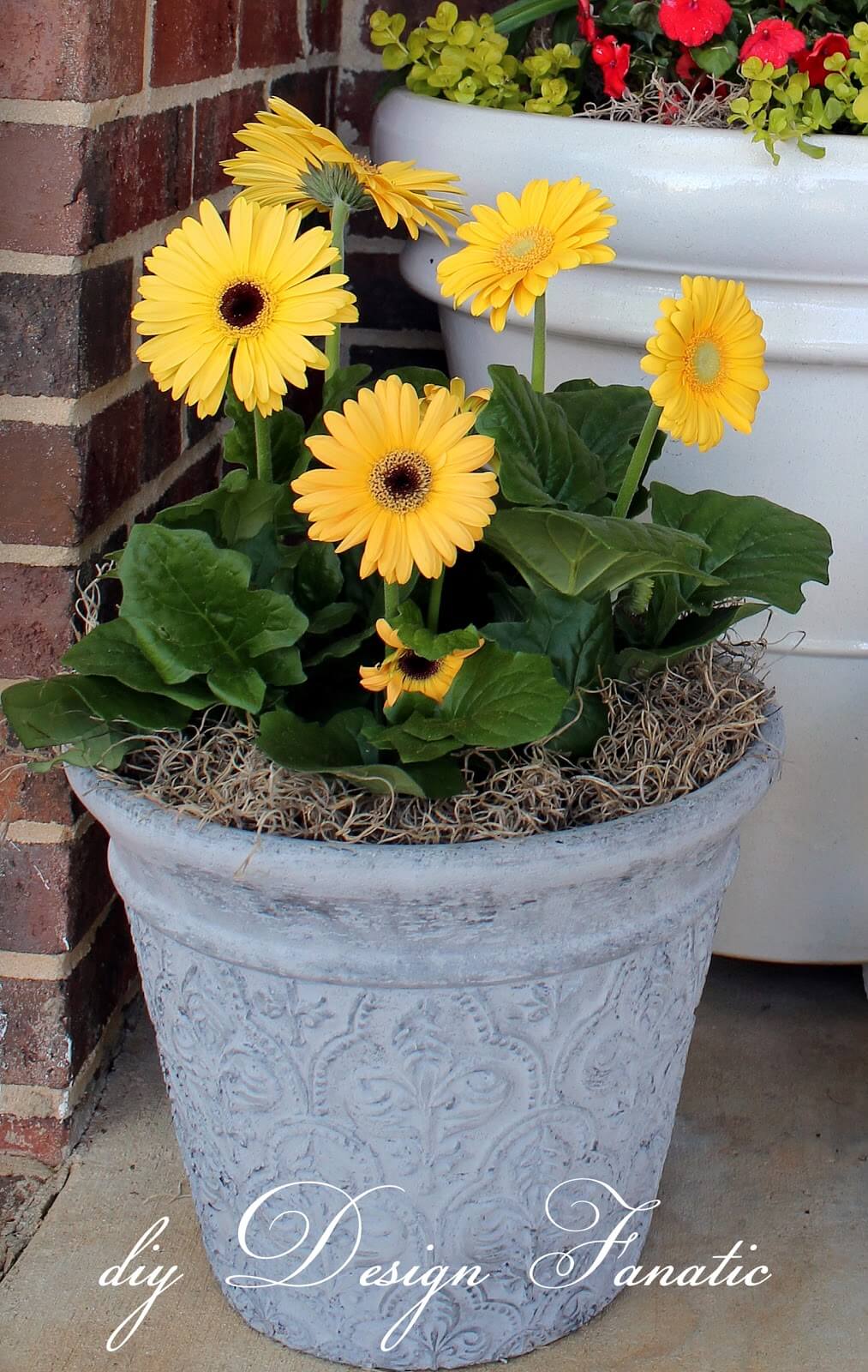 Spray Painted Textured Flower Pot