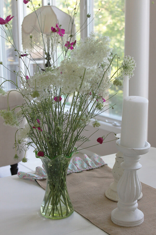 Enchanting Queen Anne’s Lance and Poppy Mallow