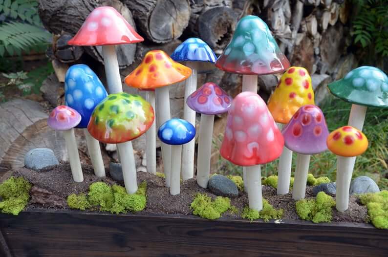 Bunches of Bright and Brilliant Garden Mushrooms