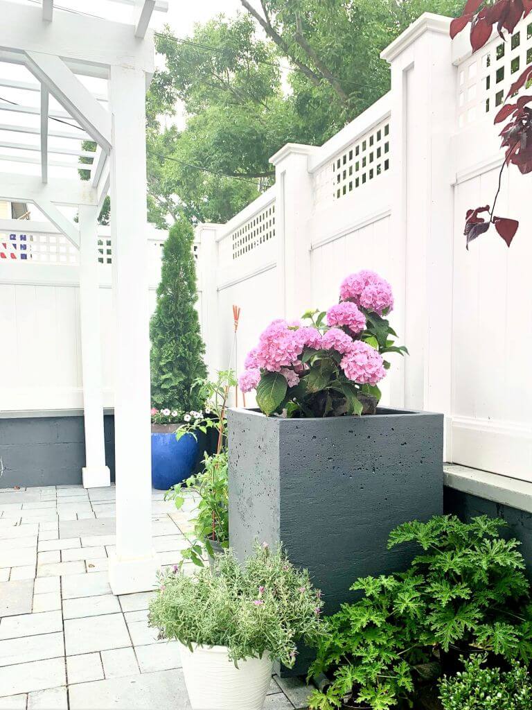 Contemporary and Chic Concrete Cube Planter