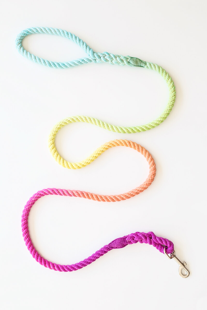 DIY Multicolored Dog or Cat Leash