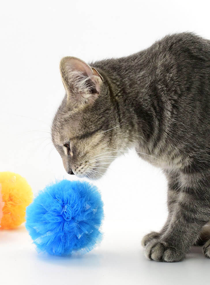 DIY Fluffy Pom-poms for Cats