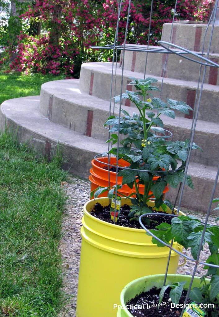 Brightly Colored Five Gallon Bucket Container Garden