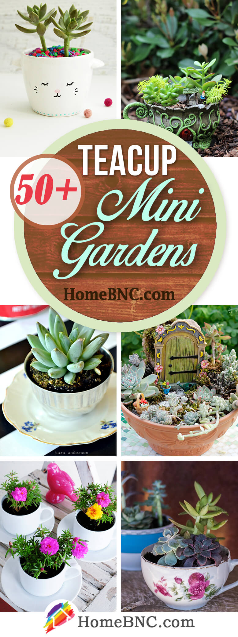 Teacup Mini Garden Design Ideas