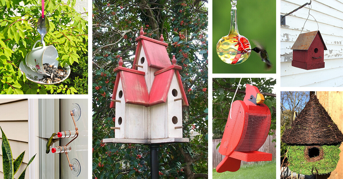 Featured image for “18 Extravagant Birdhouses and Bird Feeders to Bring Birds Flocking to Your Garden”