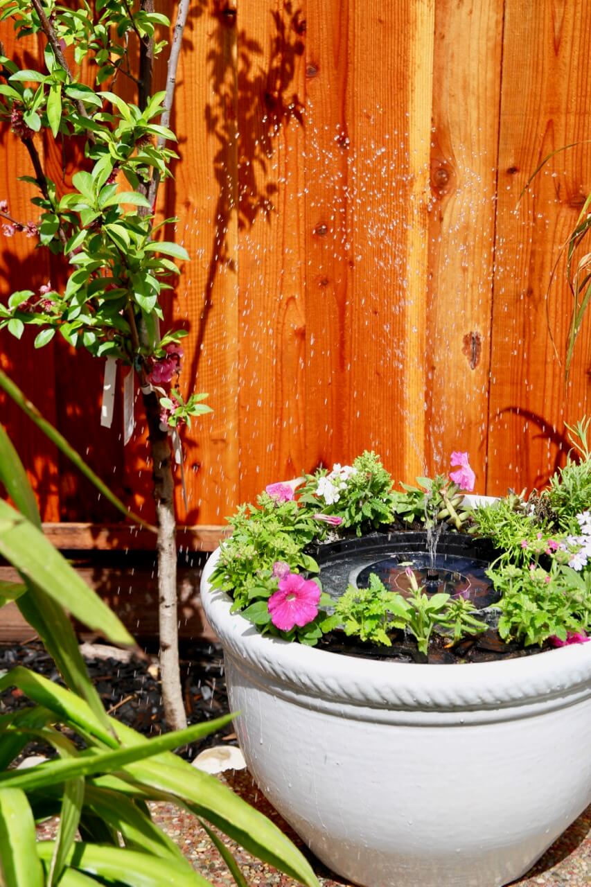 A Tranquil Solar Fountain on a Budget