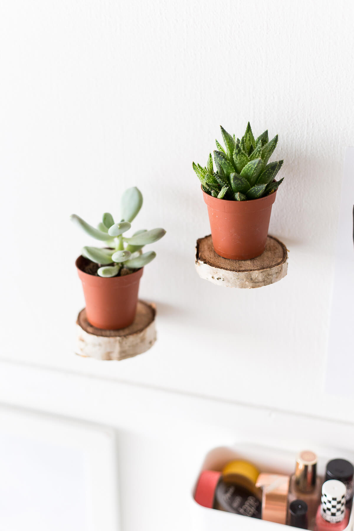 Floating Plant Shelf from Birch Wood