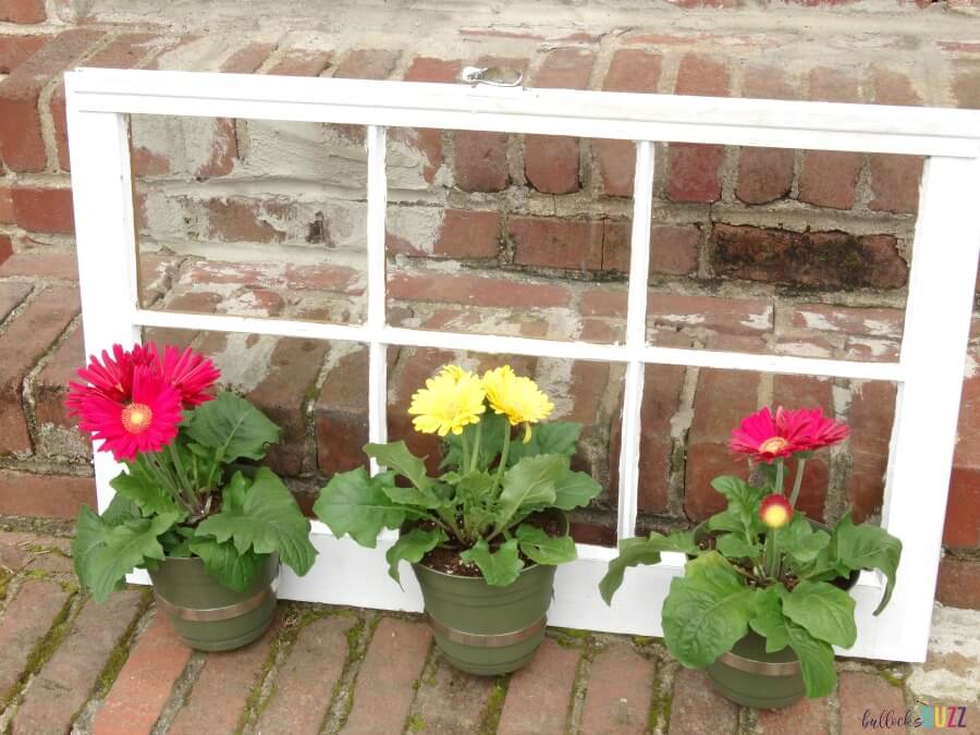 White Window Trio Plant Holder