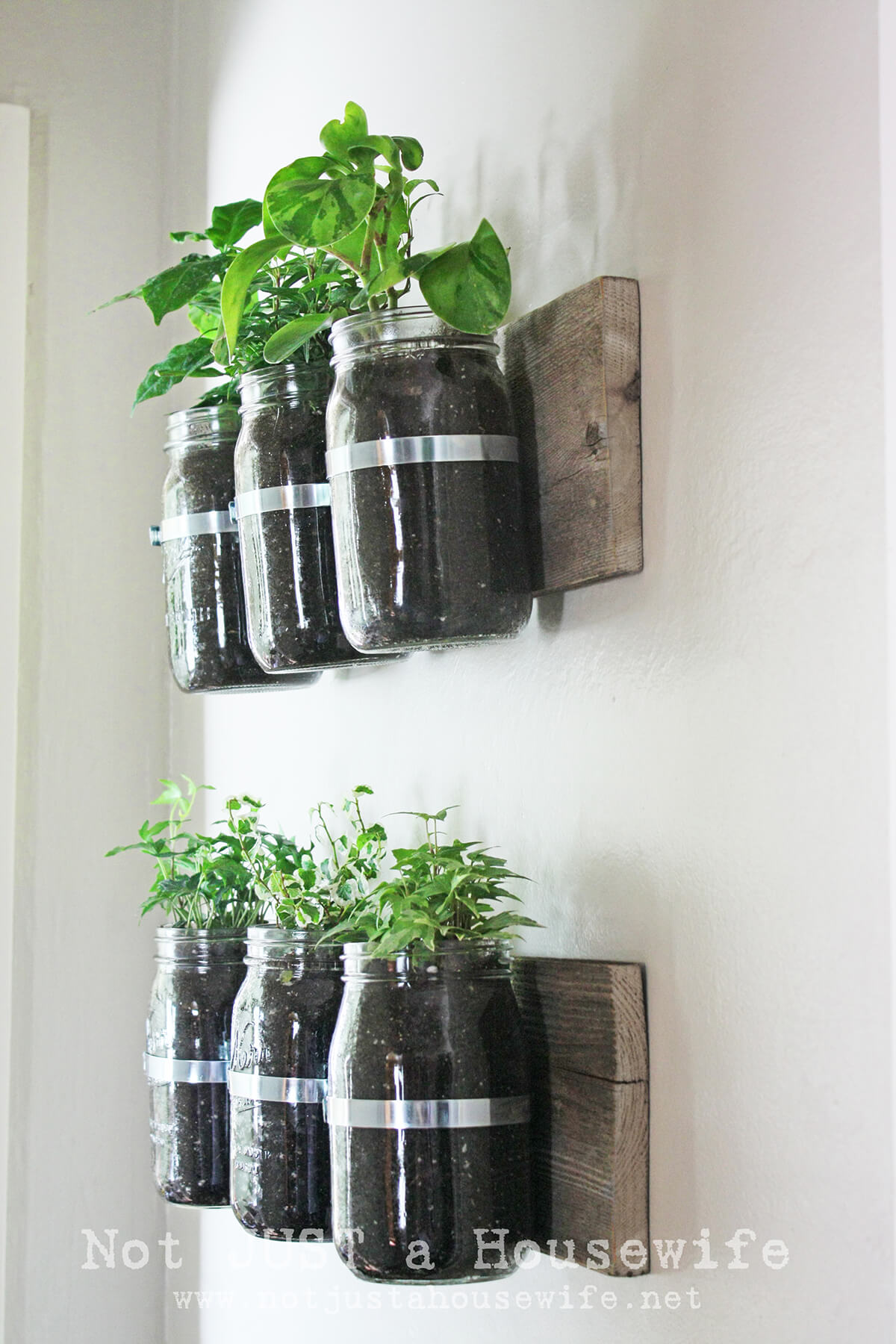 Hanging Mason Jar Vases for Crafty Fun