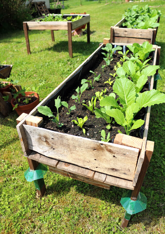 Repurposed Pallet Raised Garden Bed