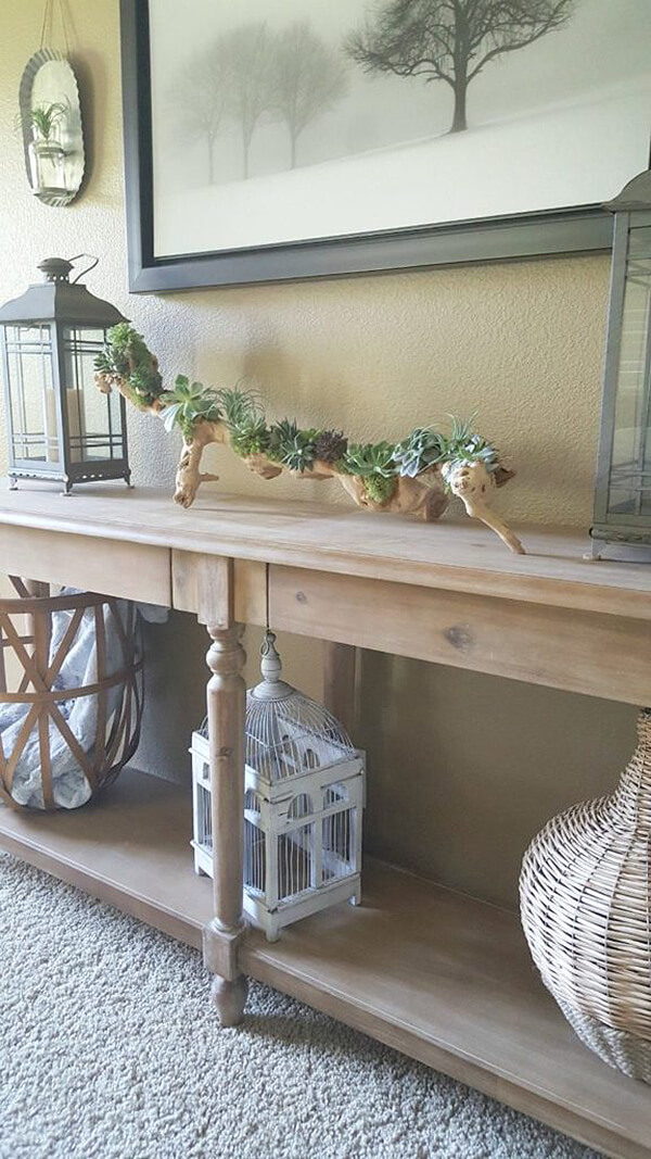 One-of-a-kind Driftwood Succulent Planter for Summer