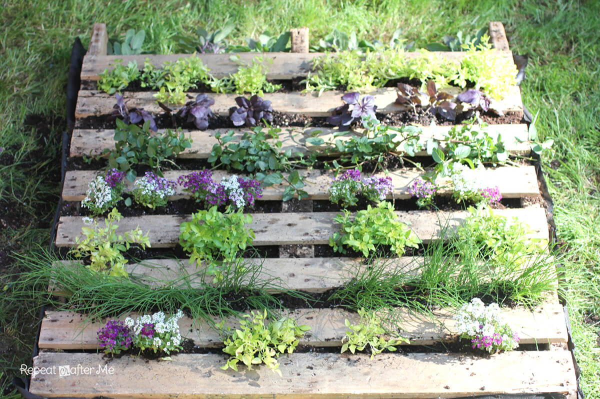 Clever Repurposed Pallet Miniature Garden