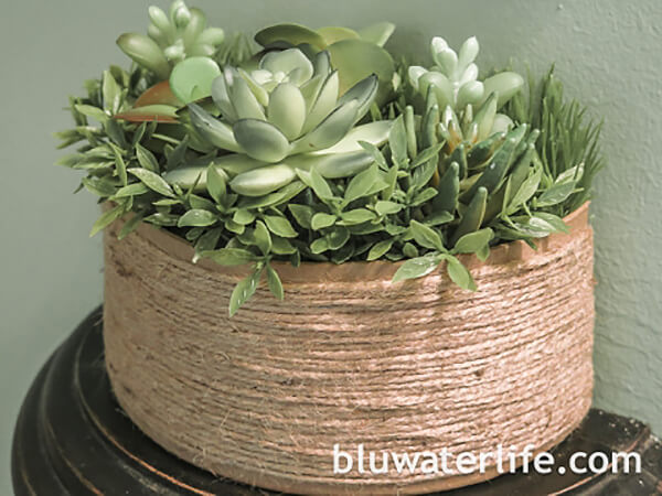 A Sweet Homespun Succulent Oasis