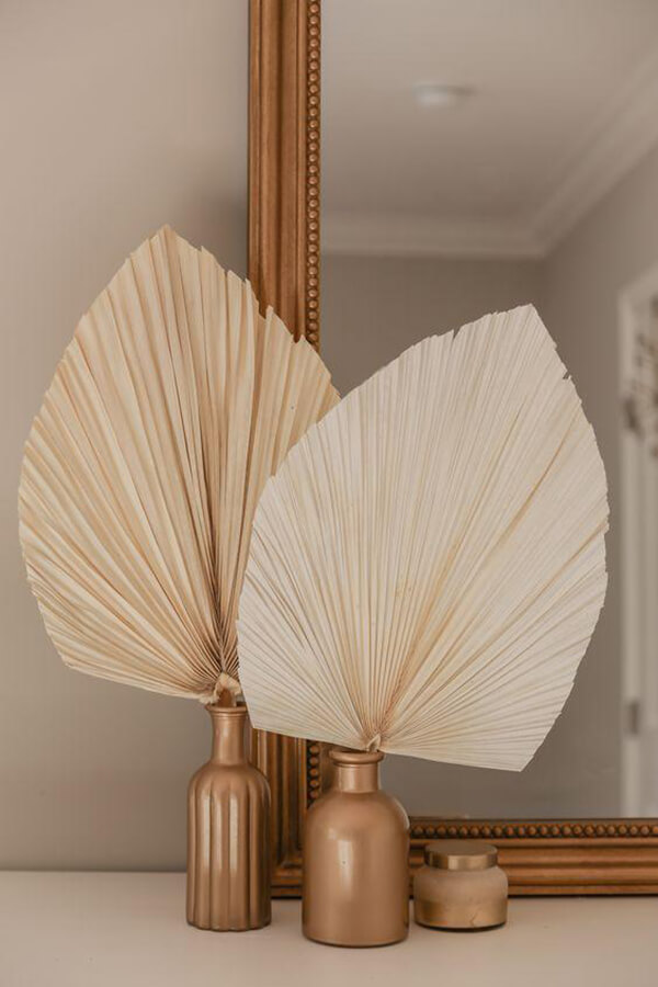 Cool Dried Palm Fan Leaf