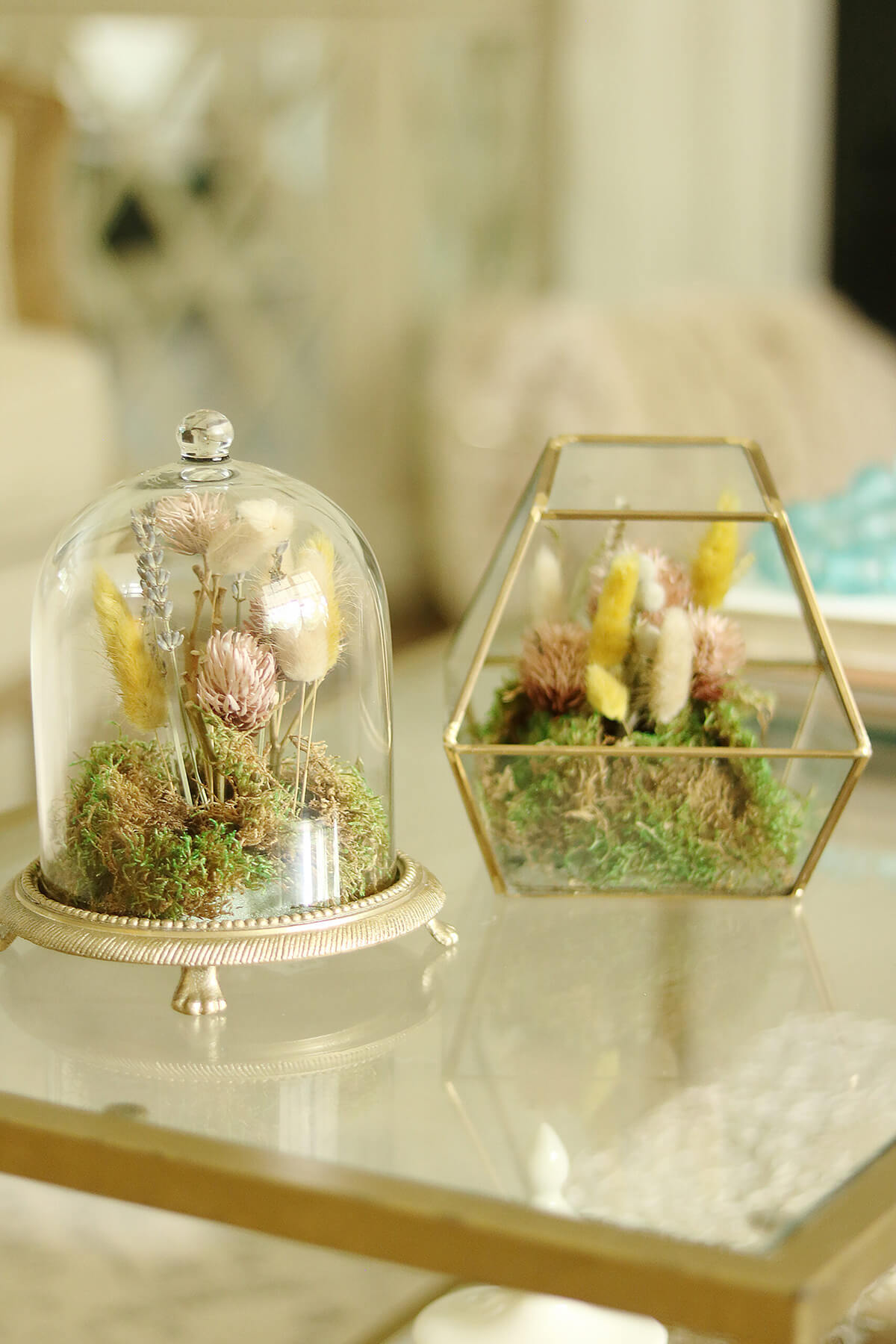 Unique Dried Flower Coffee Table Terrarium