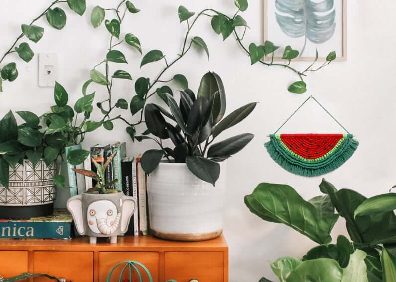 Macrame Handmade Watermelon Wall Hanging Décor