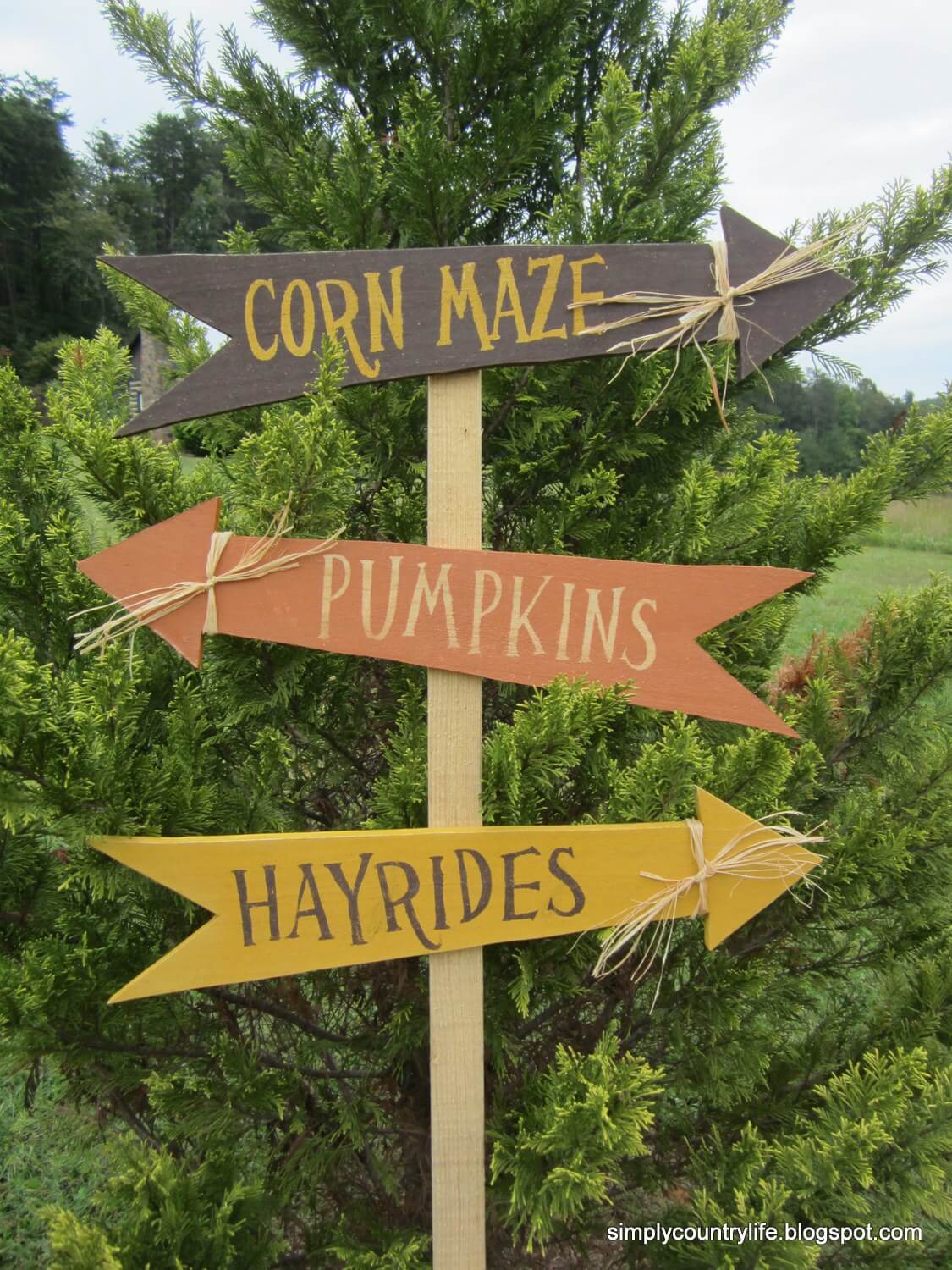 Fall Festivities Fun Decorative Direction Sign