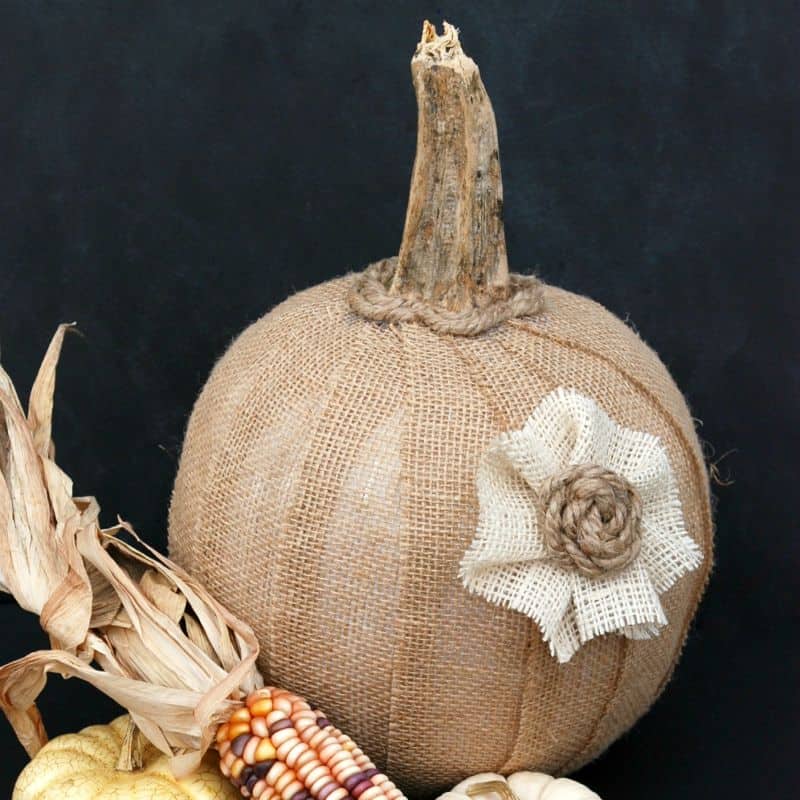 Beautiful Burlap and Bow DIY Pumpkin Decoration