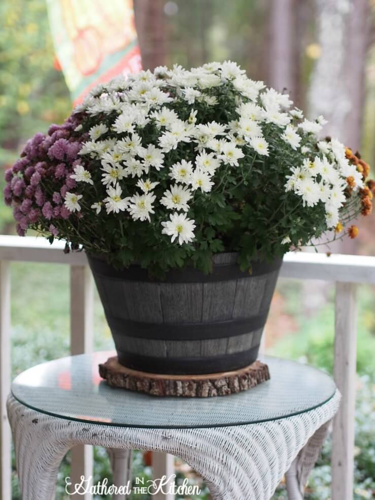 Large Rustic Potted Plant Décor