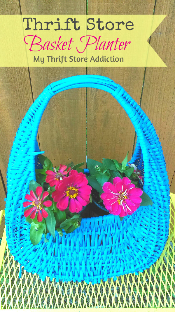 A Colorful Wicker Planter Wonderland