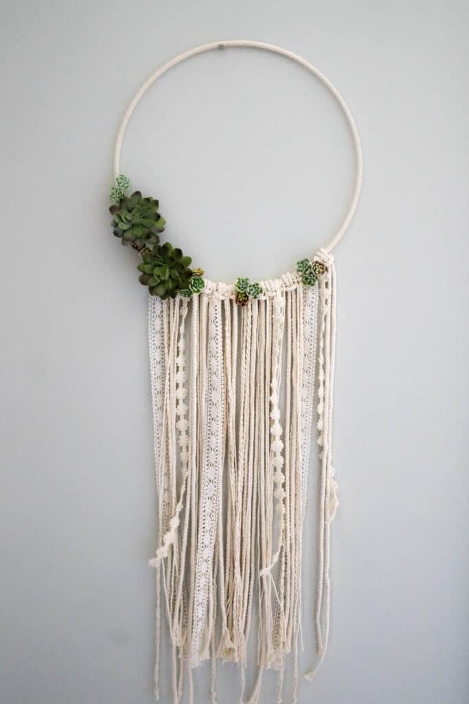 Bohemian Beauty Succulent Lace Ribbon Dream Catcher