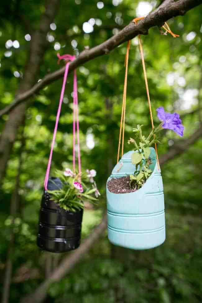 Transforming Bottles into Beautiful Garden Art