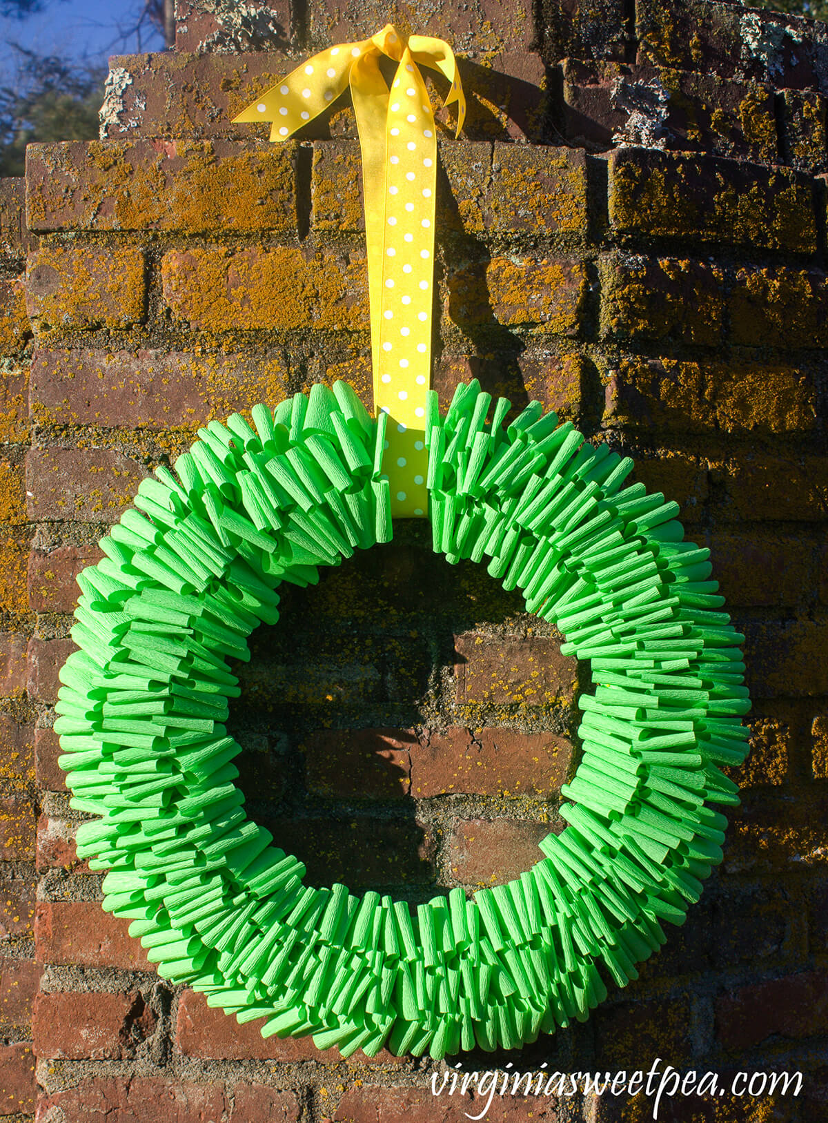 Vibrant Crepe Paper Spring Wreath