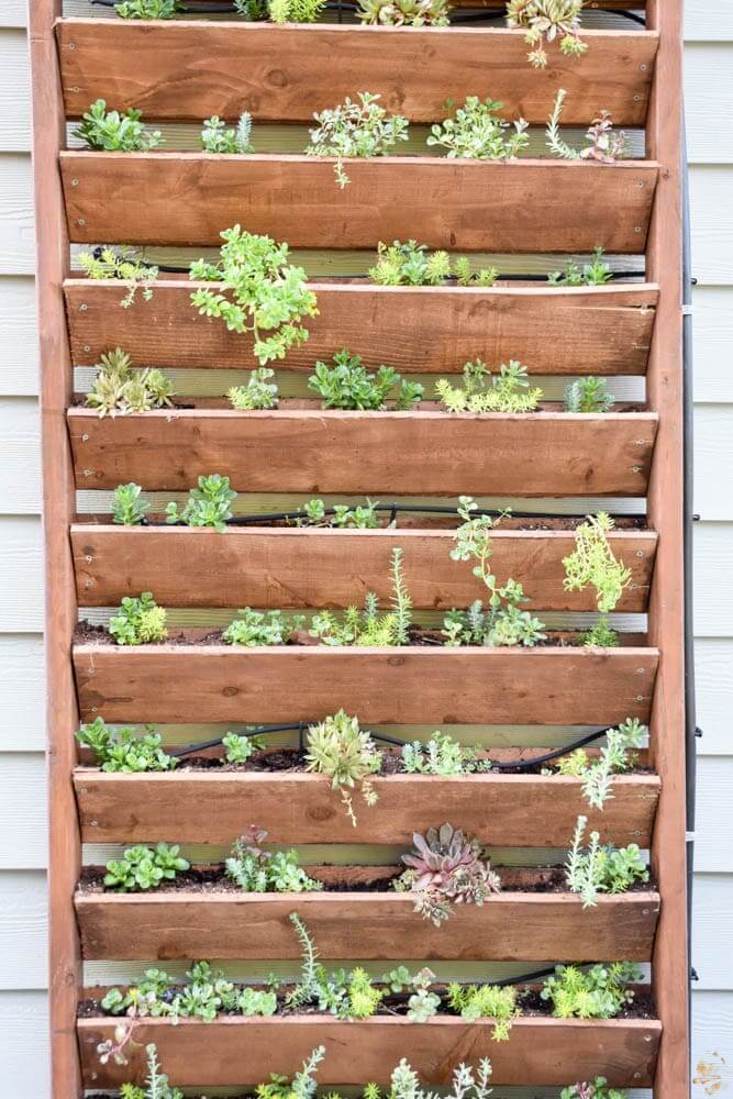 A Decorative DIY Vertical Patio Garden