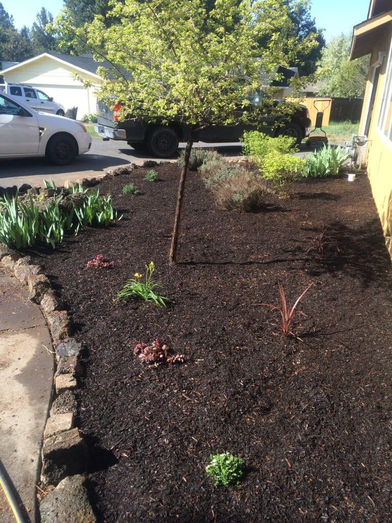 Stunning Dark Mulch Flowerbed Transformation