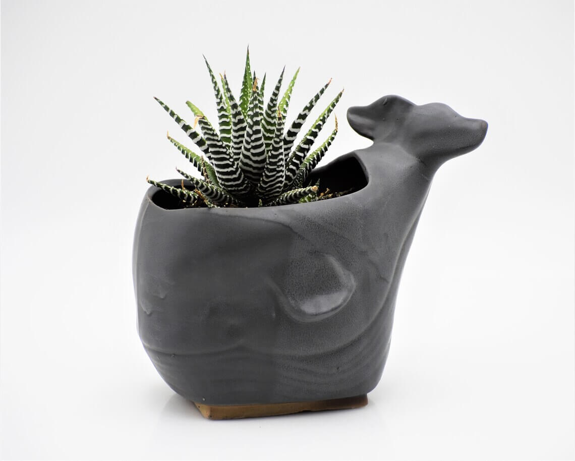 Charcoal Black Stoneware Whale Planter