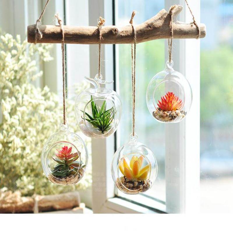 Set of Four Glass Globe Terrariums