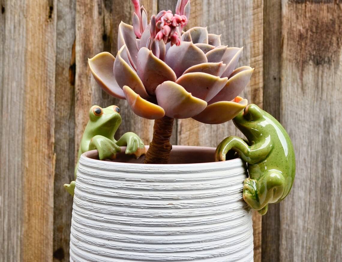 Green Frog Planter Pot Pals