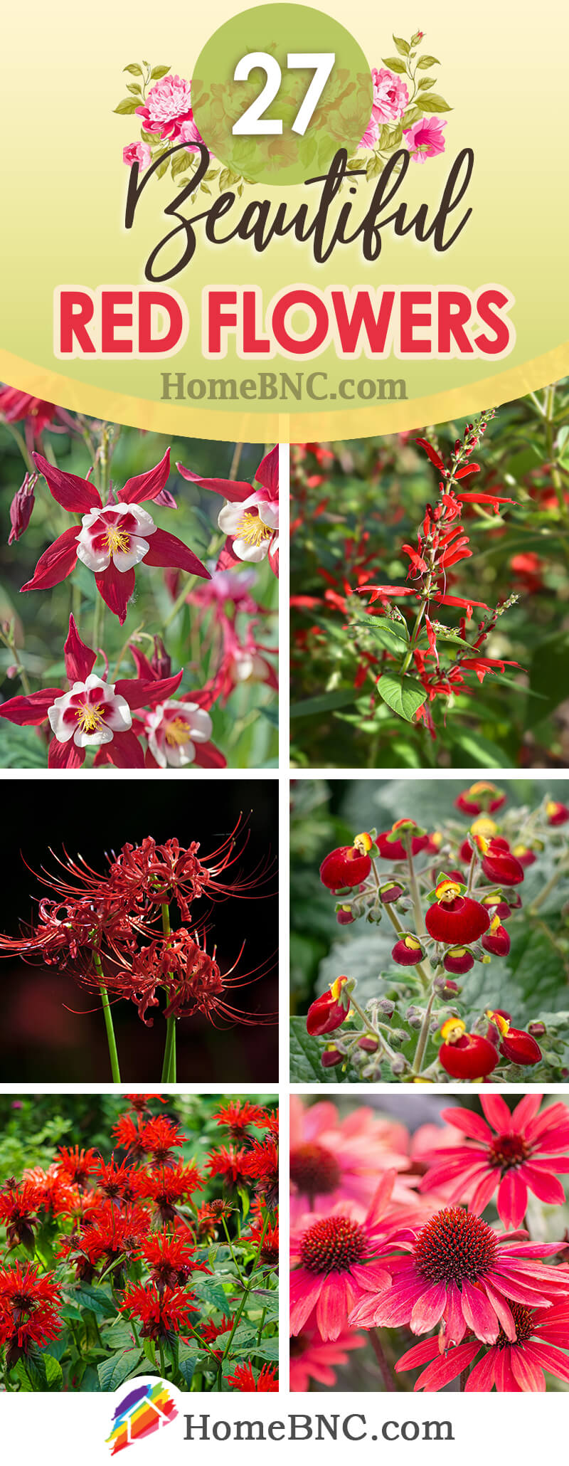 Red Flowers