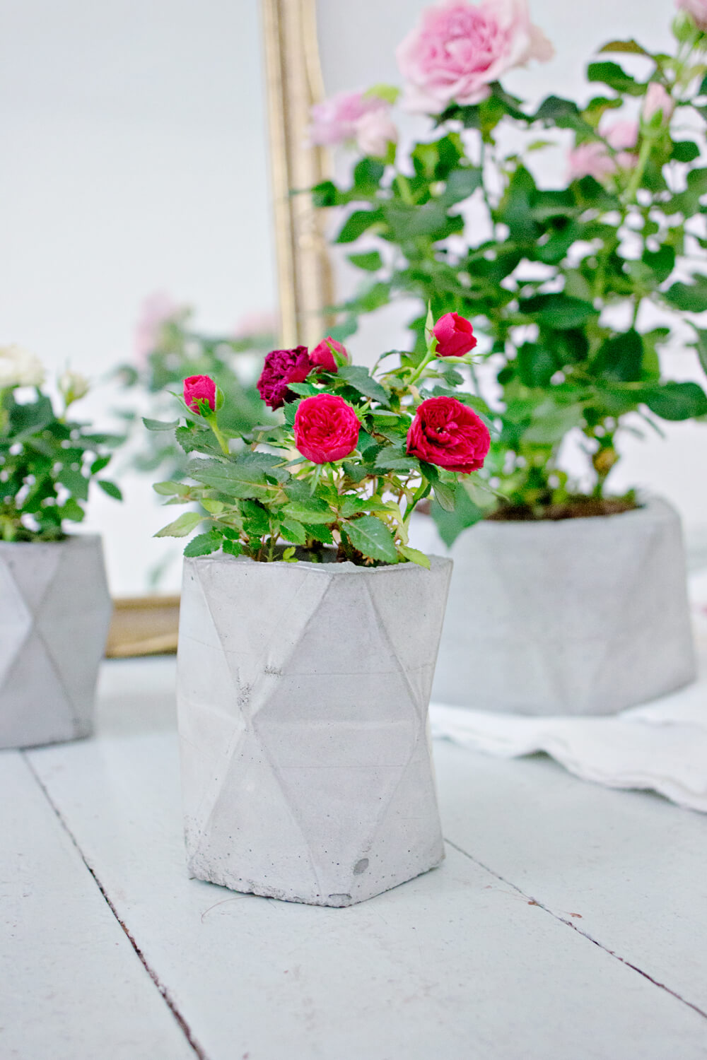 Molded Concrete Geometric Planter Pots