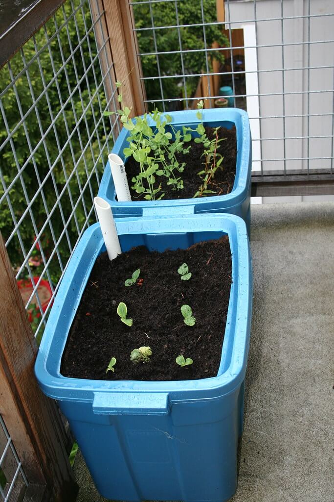 The Perfect Apartment-Style Garden Bed