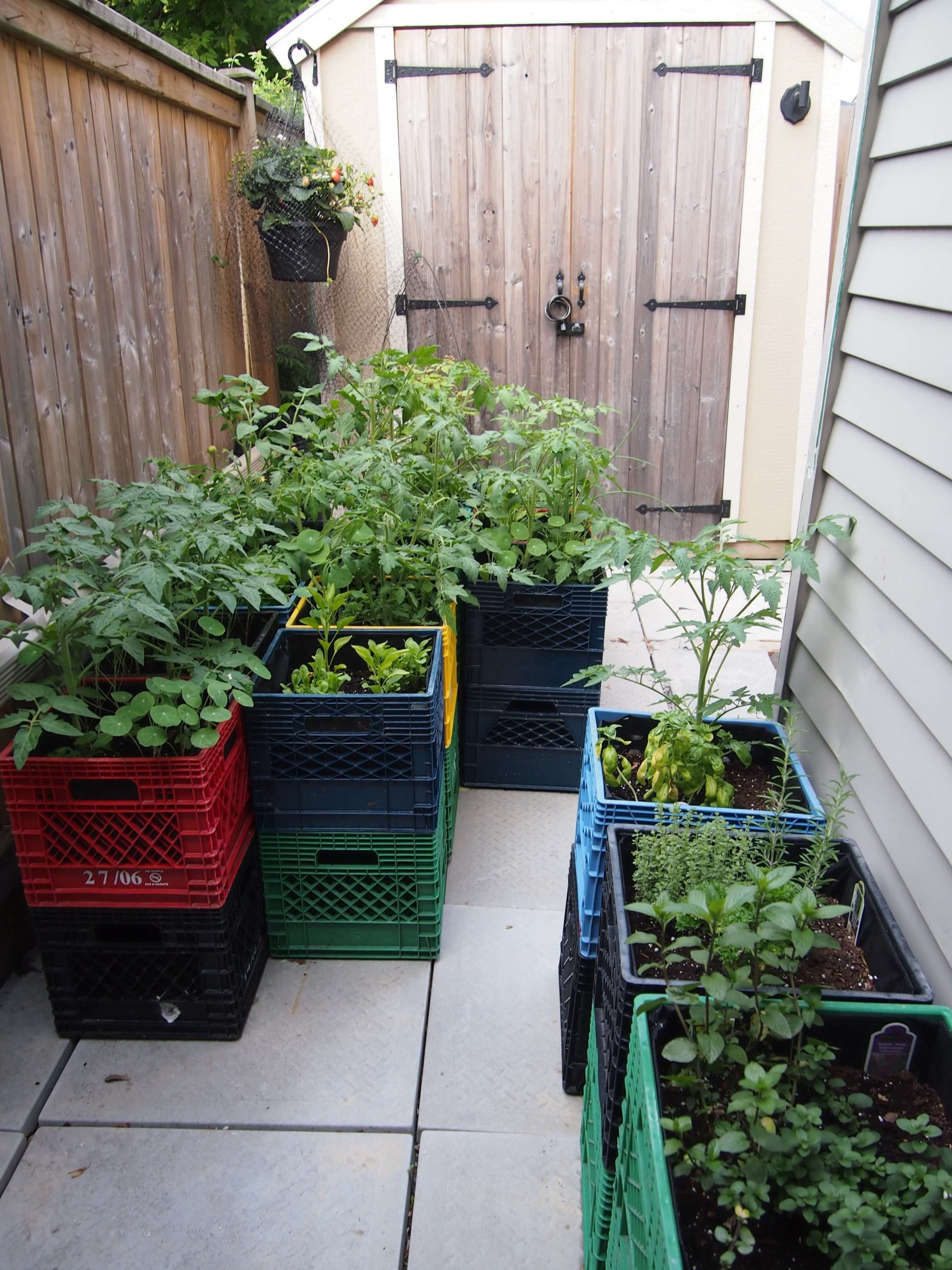 Space Saving Raised Garden on a Budget