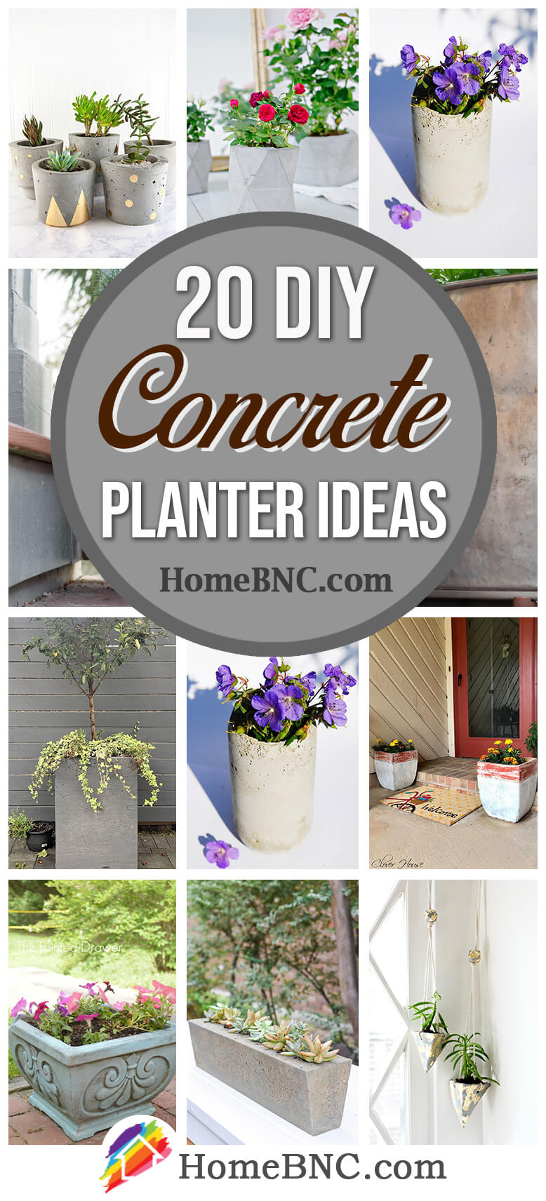 Best DIY Concrete Planter Ideas